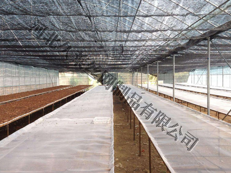苗床塑料網，也是塑料平網的一種，主要是用于花卉種植園培育花種用的育苗網床，底部有角鐵焊接為支架，上邊根據支架框寬度進行裁剪，并固定。材質：以HPDE（聚乙烯），PP（聚丙烯）編織：由熱噴、冷固等加工而